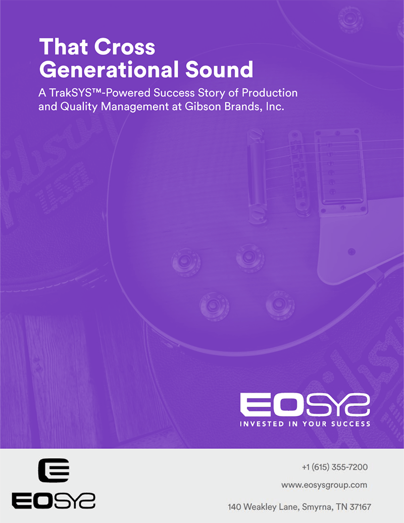 Case Study Gibson fs8